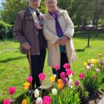 Seniorki P. Jadzia G. i p. Irenka K. podziwiają tulipany