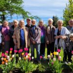 Seniorzy przy tulipanach