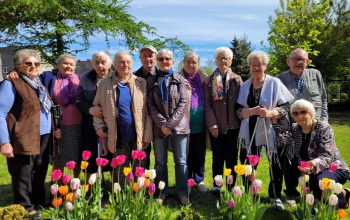 Seniorzy przy tulipanach